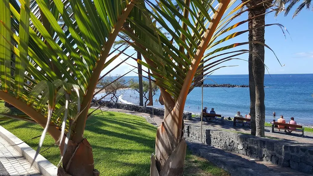 Bamboli Holidays Playa de las Americas  Spain
